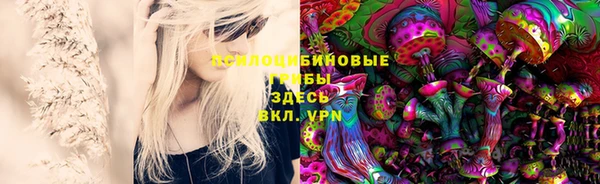 герыч Касимов